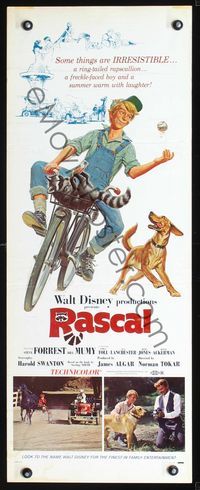 2h404 RASCAL insert movie poster '69 Walt Disney, great art of Bill Mumy on bike with raccoon & dog!