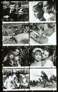 2m033 FRAULEIN DOKTOR 37 8x10s '69 Suzy Kendall, Kenneth More, James Booth, Nigel Green, Capucine