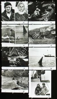 2m141 ORCA 12 8x10 movie stills '77 Richard Harris, Charlotte Rampling, killer whale!