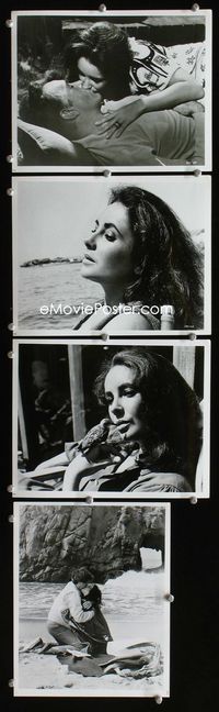 2m398 SANDPIPER 4 8x10 movie stills '65 close ups of Elizabeth Taylor & Richard Burton!