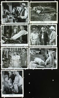 2m281 TAMMY & THE BACHELOR 7 8x10 movie stills '57 Debbie Reynolds, Leslie Nielsen, Walter Brennan