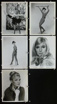 2m349 YVETTE MIMIEUX 5 8x10s '60s glamour portraits from Time Machine, Toys in the Attic & more!