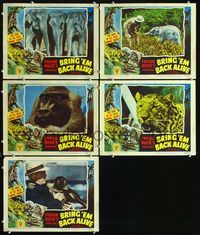 2n309 BRING 'EM BACK ALIVE 5 lobby cards R48 Frank Buck, great close up images of jungle animals!
