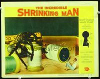 2n146 INCREDIBLE SHRINKING MAN lobby card#6 '57 best fx image of tiny man fighting off giant spider!