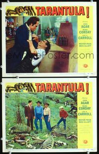 2n333 TARANTULA 2 movie lobby cards '55 monster attacks in lab & guys with cattle bones!