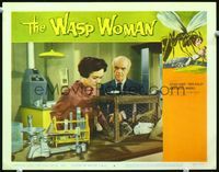 2n254 WASP WOMAN LC #6 '59 pretty Susan Cabot watches guinea pigs in cage at lab, great border art!