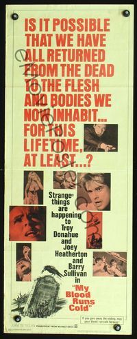 2o193 MY BLOOD RUNS COLD insert movie poster '65 Troy Donahue, Joey Heatherton, reincarnation!