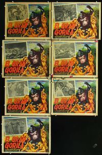 2p284 MIGHTY JOE YOUNG 7 Mexican LCs '49 1st Harryhausen, border art of giant ape fighting lions!