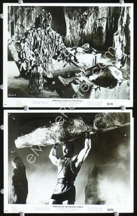 2q600 HERCULES IN THE HAUNTED WORLD 2 8x10s '64 Mario Bava, great image of Reg Park & wacky monster!