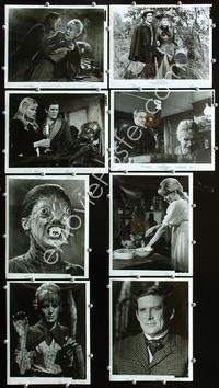2q378 REPTILE 9 8x10 movie stills '66 two great close up images of wacky snake woman Noel Willman!