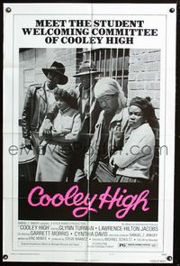 2r163 COOLEY HIGH style B one-sheet movie poster '75 the student body was a chick named Veronica!