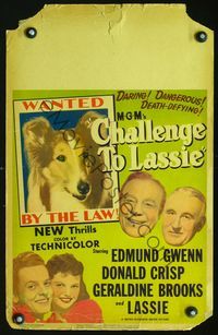 2t066 CHALLENGE TO LASSIE window card '49 classic canine Collie is wanted by the law, wacky image!