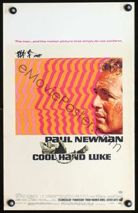 2t081 COOL HAND LUKE window card '67 Paul Newman prison escape classic, cool art by James Bama!