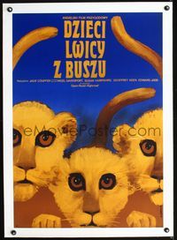 2y242 LIVING FREE linen Polish 23x33 poster '74 best different art of three lion cubs by W. Gorka!