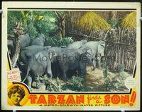 3b636 TARZAN FINDS A SON lobby card '39 great image of elephants coming to Weissmuller's rescue!