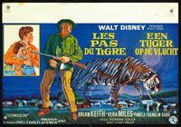 3c774 TIGER WALKS Belgian '64 Disney, cool artwork of Brian Keith standing by huge prowling tiger!