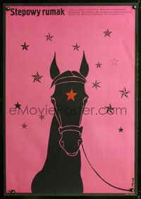 3c322 HORSE OF THE STEPPE Polish 26x38 poster '79 Stepowy rumak, Jerzy Flisak art of horse w/stars!