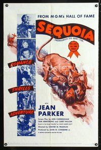 3f808 SEQUOIA one-sheet R53 Jean Parker, Russell Hardie, man being attacked by mountain lion art!