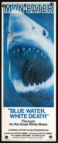 3j358 BLUE WATER, WHITE DEATH insert movie poster '71 cool super close image of great white shark!