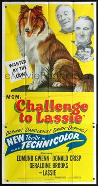 3k358 CHALLENGE TO LASSIE 3sheet '49 great art of classic canine Collie who is wanted by the law!