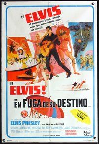 3k739 CLAMBAKE Argentinean poster '67 art of Elvis Presley with guitar & sexy babes, rock & roll!