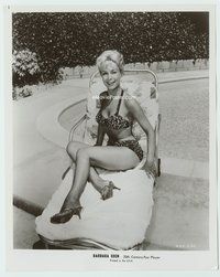 3m032 BARBARA EDEN 8x10 still '50s sexiest portrait sitting by swimming pool in leopardskin bikini!