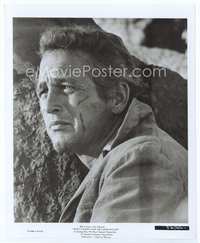 3m065 BUTCH CASSIDY & THE SUNDANCE KID 8x10 movie still '69 close up of weary battered Paul Newman!