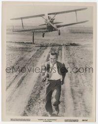 3m300 NORTH BY NORTHWEST 8x10 '59 classic image of Cary Grant in field running from cropduster!