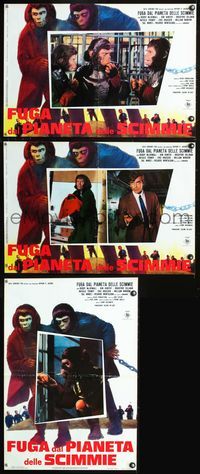 3o382 ESCAPE FROM THE PLANET OF THE APES 3 Italian photobusta posters '71 great images of apes!