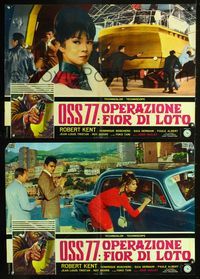 3o440 OSS 77 - OPERAZIONE FIOR DI LOTO 2 Italian photobustas '65 Robert Kent, Dominique Boschero