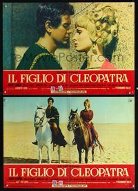 3o451 SON OF CAESAR & CLEOPATRA 2 Italian photobusta posters '64 Mark Damon up close w/Scilla Gabel!