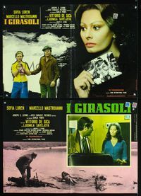 3o455 SUNFLOWER 2 Italian photobustas '70 Vittorio De Sica's I Girasoli, Sophia Loren, Mastroianni