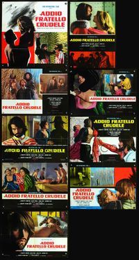 3o324 'TIS PITY SHE'S A WHORE 9 Italian photobusta movie posters '71 sexy Charlotte Rampling!