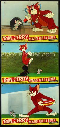 3o385 TOM & JERRY 3 Italian photobusta movie posters 1961 great images of Tom & Jerry!