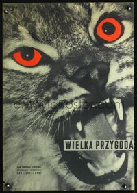 3o680 GREAT ADVENTURE Polish 23x33 poster '53 Swedish nature, Wojciech Fangor art of angry cat!