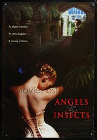 3p051 ANGELS & INSECTS Int'l one-sheet movie poster '95 great sexy image of Patsy Kensit in corset!