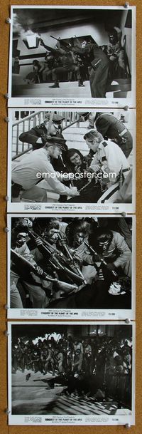 3s252 CONQUEST OF THE PLANET OF THE APES 4 8x10 stills '72 Roddy McDowall & others in chimp suits!