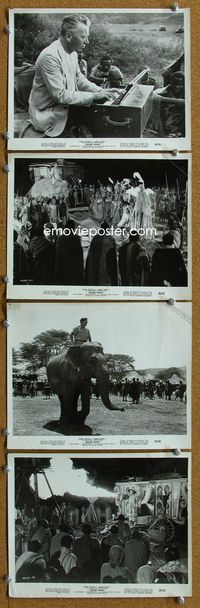 3s300 MISTER MOSES 4 8x10 movie stills '65 Robert Mitchum riding elephant in Africa!