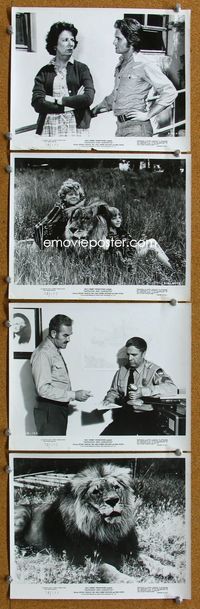 3s313 NAPOLEON & SAMANTHA 4 8x10s '72 Disney, very 1st Jodie Foster, great close images of lion!