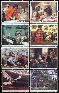 3s448 BREWSTER McCLOUD 8 color 8x10 movie stills '71 Robert Altman, Bud Cort, Sally Kellerman