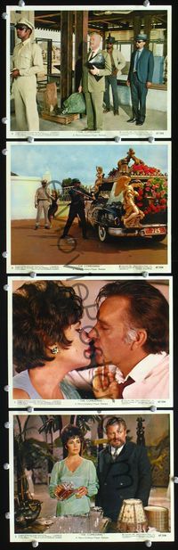 3s716 COMEDIANS 4 Eng/US color 8x10 movie stills '67 Richard Burton, Elizabeth Taylor, Alec Guinness
