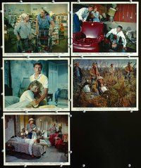 3s675 HOME FROM THE HILL 5 color 8x10 stills '60 Robert Mitchum, Eleanor Parker, George Peppard