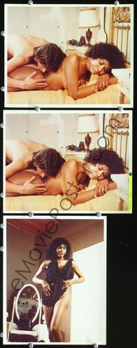 3s757 LOVE LUST & ECSTASY 3 color 8x10 stills '80 Erotiki ekstasi, Ajita Wilson, sexy Greek babes!