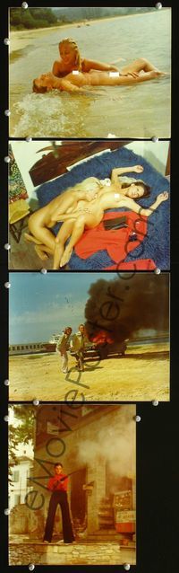 3s733 MARK 4 color 8x10 stills '77 Ilias Mylonakos' Erotiki yperentasi, sexy babes & violent men!