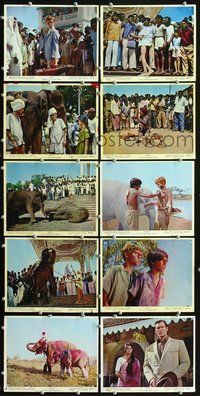 3s401 MAYA 10 color 8x10 movie stills '66 Clint Walker, Jay North, cool Indian elephant images!