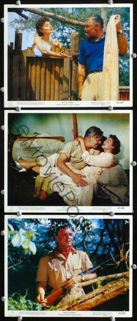 3s758 MOGAMBO 3 color 8x10 movie stills '53 Clark Gable & sexy showering Ava Gardner in Africa!
