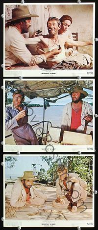 3s759 MURPHY'S WAR 3 color 8x10s '71 Peter O'Toole, WWII was ending, WWMurphy was about to begin!