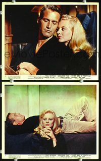 3s048 SWEET BIRD OF YOUTH 2 English FOH LCs '62 two close images of Paul Newman & Shirley Knight!