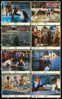3s506 JAWS 3-D 8 8x10 mini LCs '83 Dennis Quaid, Bess Armstrong, Louis Gossett Jr, man-eating shark!