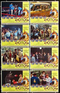 3t344 MATILDA 8 lobby cards '78 Elliott Gould, Harry Guardino, Robert Mitchum, wacky boxing kangaroo!